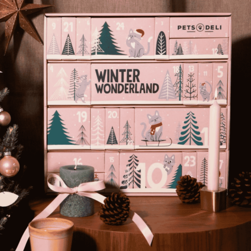 Tiere Adventskalender 2025